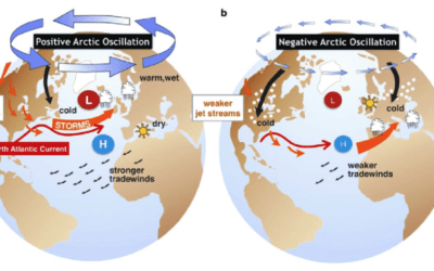 How The +AO Index Created A Record Warm Late Fall And US Snow Drought, But Some Snows Coming Soon