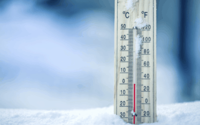 HOW WE PREDICTED THE ‘ARCTIC PIG” FOR FEBRUARY setting the energy markets on fire