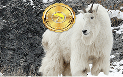 arctic pig to become a goat? some increased crop concerns for south America