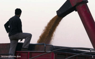 The explosion in commodities: what you need to know as a farmer or trader