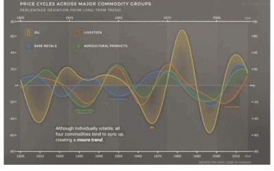 HISTORICAL MOVES IN SOME COMMODITIES (JIM ROEMER VIDEO ABOUT WEATHER AND SUPER CYCLES)