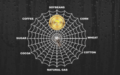 VIDEO OF ALL WEATHER RELATED COMMODITY MARKETS AND BEST WEATHER SPIDER