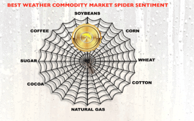 best weather spider and some trade ideas