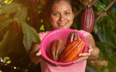 Which climatic factors would take cocoa prices out of the doldrums?
