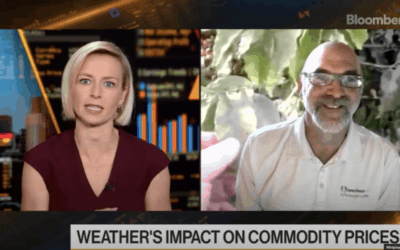 TRADING coffee & other COMMODITIES ON DROUGHTS, CLIMATE CHANGE, FROSTS AND FLOODS