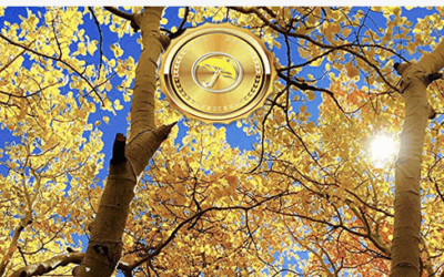 fall seasonal commodity price trends, la NIÑA, and the soaring oat market