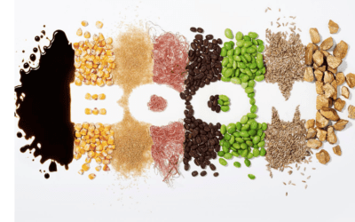 COMMODITY BOOM: UPCOMING DECEMBER CLIMATELLIGENCE NEWSLETTER PREVIEW