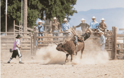 from coffee futures to natural gas: what’s causing the wild ride & a look ahead to future reports