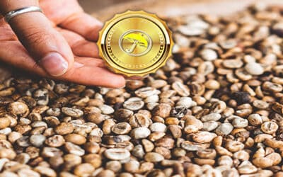 the collapse in cocoa prices, rally in nat gas and why robusta coffee market still bullish