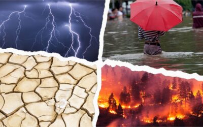 world’s weather going wild as covid worries hit many commodity markets