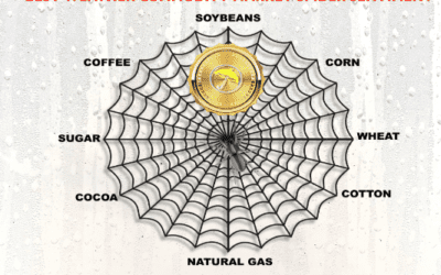 Best weather spider update