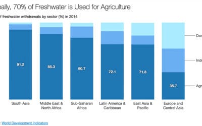 Is “Seawater Rice” China’s Answer to Rising Sea Levels?