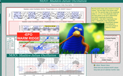 Best Weather spider and how the MJO caused a sudden surge in natural gas prices
