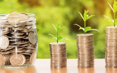financial sense podcast with Jim Roemer: inflation, energy, grain prices and more