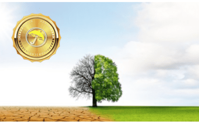 Climatic Factors Important For Spring and Summer Commodities