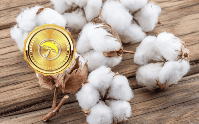 USDA Planted Acres Report Preview & Why Cotton Prices Continued to Soar