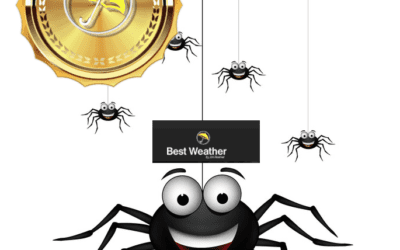 Best Weather Spider and growing wheat weather problems, the rally in natural gas, and more