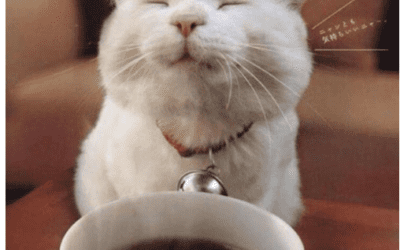 Weather Issues Return For Some Global Coffee Areas