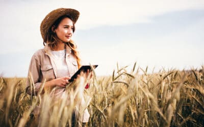 How Global Weather Is Affecting Wheat Production