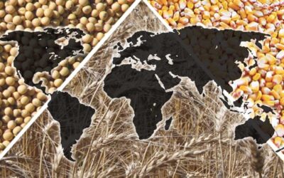 How A Westward Expanding La Niña Helped Us Change Our Bearish Sentiment, Early, For The Grain Markets