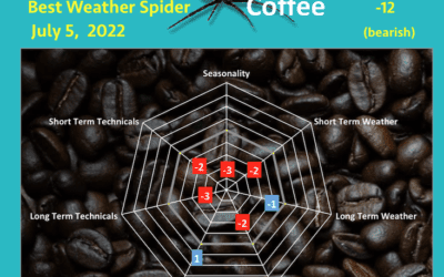 Best Weather Spider: How We Advised Clients About The Pending Fall In Coffee Prices