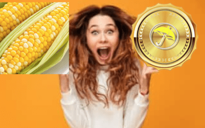 The Return of Excitement in Commodities Due to a Hot, Dry, Late Summer & a Look at the Rice Market