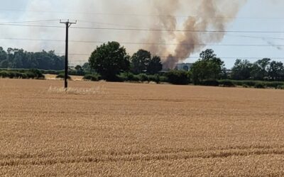 Europe: Heat Records Obliterated, Wheat and Corn Smacked