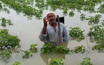 A Monsoon on Steroids Devastates Pakistan’s Crops