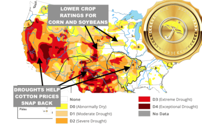 A Warming Planet; Lingering Western Corn/Soy Drought;   How To Play Upcoming USDA Crop Report; Cotton Soars; Nat Gas Volatility