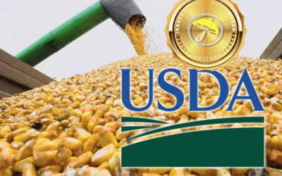 Post-USDA Crop Report, Rains to Hit Some Key Grain Drought Areas, Soaring Cotton Prices & Option Trades in Nat Gas