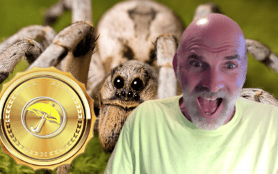 (VIDEO) How To Use Our Best Weather Spiders