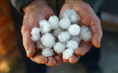 VIDEO: The Science Behind How Hail Forms & How Much Damage Did Brazil Coffee have?
