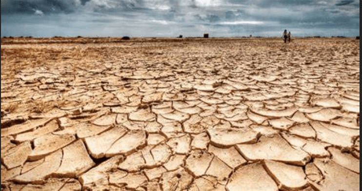 The Argentina Drought & Factors Affecting The Grain Market