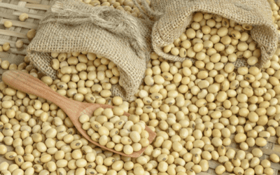 The Argentina drought and soybeans