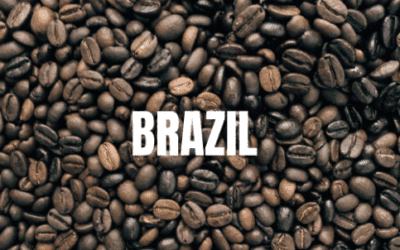 Why Potential Flooding Should Return to Brazil Coffee Areas