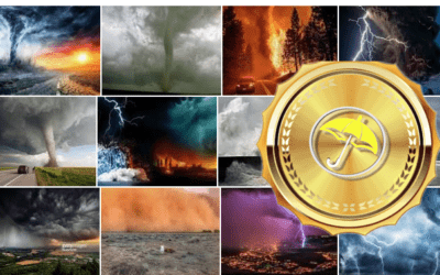Global Weather Extremes: Possible Implications For Commodities & Market To Market Interview