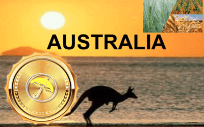 Australian Weather Forecast Techniques & A Look at Global Grain Weather