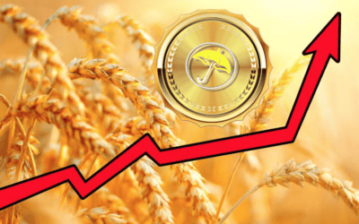 Why KC Wheat Has Soared While Other Grain Prices Fall
