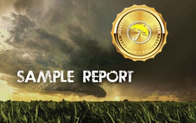 Global Weather Extremes: Possible Implications For Commodities & Market To Market Interview
