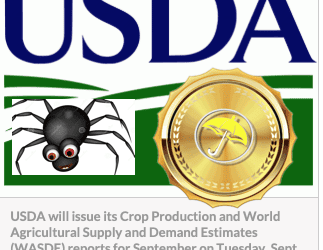 Video: Preview of Tuesday USDA Crop Report & BestWeather Spiders for Soybeans, Cotton, Coffee, Sugar and Cocoa