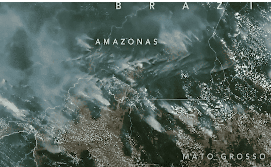 El Niño, The Devastating Amazon, Global Crops and Commodities