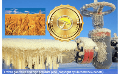 Commodity Impacts from the Coldest Polar Vortex in Several Years
