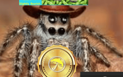 How to use my BestWeather Spider to trade commodities & a look at the collapse in soybean, corn and natural gas prices