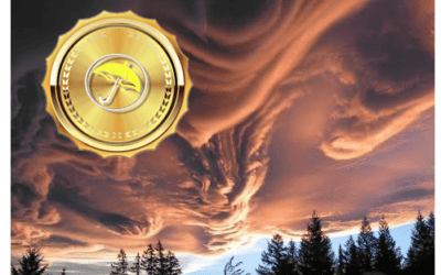 Connecting the Dots: Translating Global Weather Extremes into Summer Commodity Price Predictions