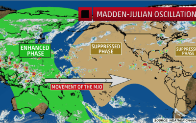 Meteorology’s MJO index: What it means and how it is affecting sugar and coffee prices