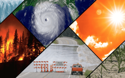 El Niño’s Retreat: The Dramatic Impact On Natural Gas And Grain Prices