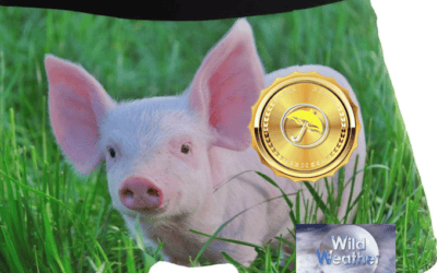 Weather and Commodity Briefs & What’s Coming Up