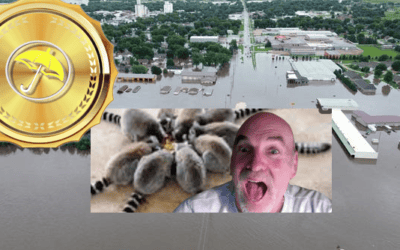 Calling the collapse in cocoa prices again, epic NW corn belt flooding clues, BestWeather Spiders & USDA report preview