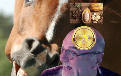 A gift horse named “cocoa.” The collapse in corn and soybeans & historical USDA late June planting reports