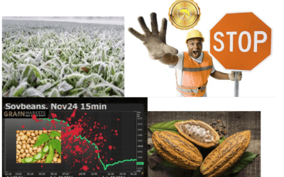 Next Stop: $9.00 Soybeans,  Extreme  Coffee Market Frost Volatility & Are Dryness Concerns Valid For West African Cocoa?
